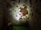 GeckoClimb