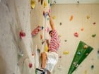 GeckoClimb