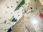 GeckoClimb