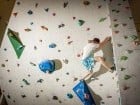 GeckoClimb