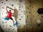 GeckoClimb