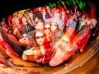 Gigahertz Music Fest