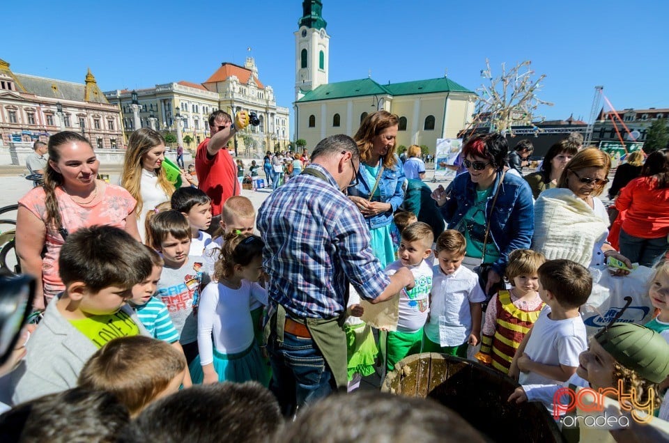 Grădina de Hârtie Reciclată, Oradea