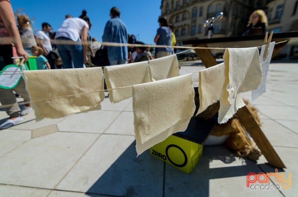 Grădina de Hârtie Reciclată, Oradea