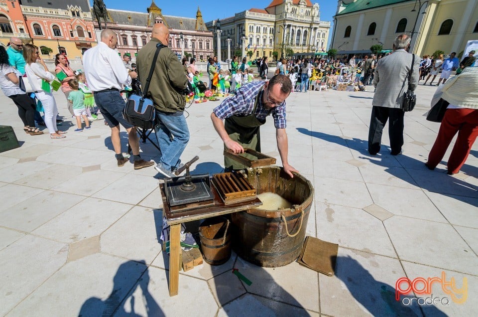 Grădina de Hârtie Reciclată, Oradea