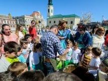 Grădina de Hârtie Reciclată