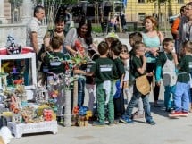 Grădina de Hârtie Reciclată