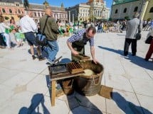 Grădina de Hârtie Reciclată