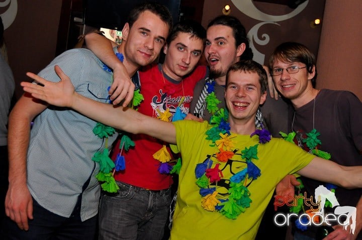 Hawaii Party continuă, 