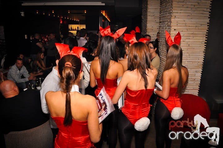 Iepuraşii Playboy la Oradea,