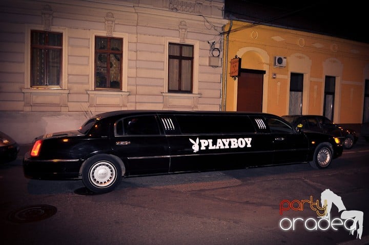 Iepuraşii Playboy la Oradea,