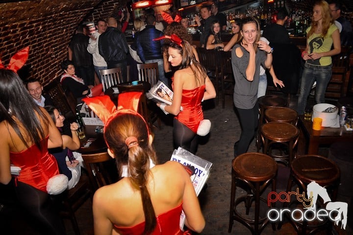 Iepuraşii Playboy la Oradea,