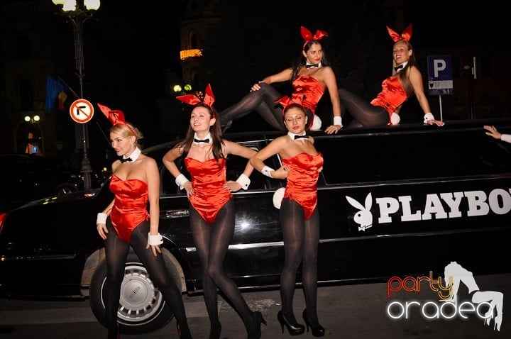 Iepuraşii Playboy la Oradea,