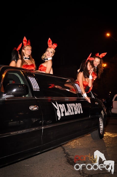 Iepuraşii Playboy la Oradea,