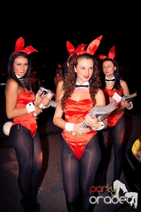 Iepuraşii Playboy la Oradea,