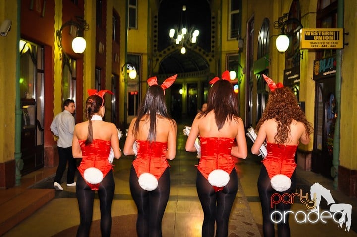 Iepuraşii Playboy la Oradea,