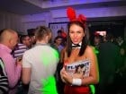Iepuraşii Playboy la Oradea