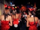 Iepuraşii Playboy la Oradea