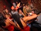 Iepuraşii Playboy la Oradea