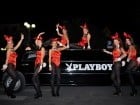 Iepuraşii Playboy la Oradea