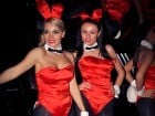 Iepuraşii Playboy la Oradea