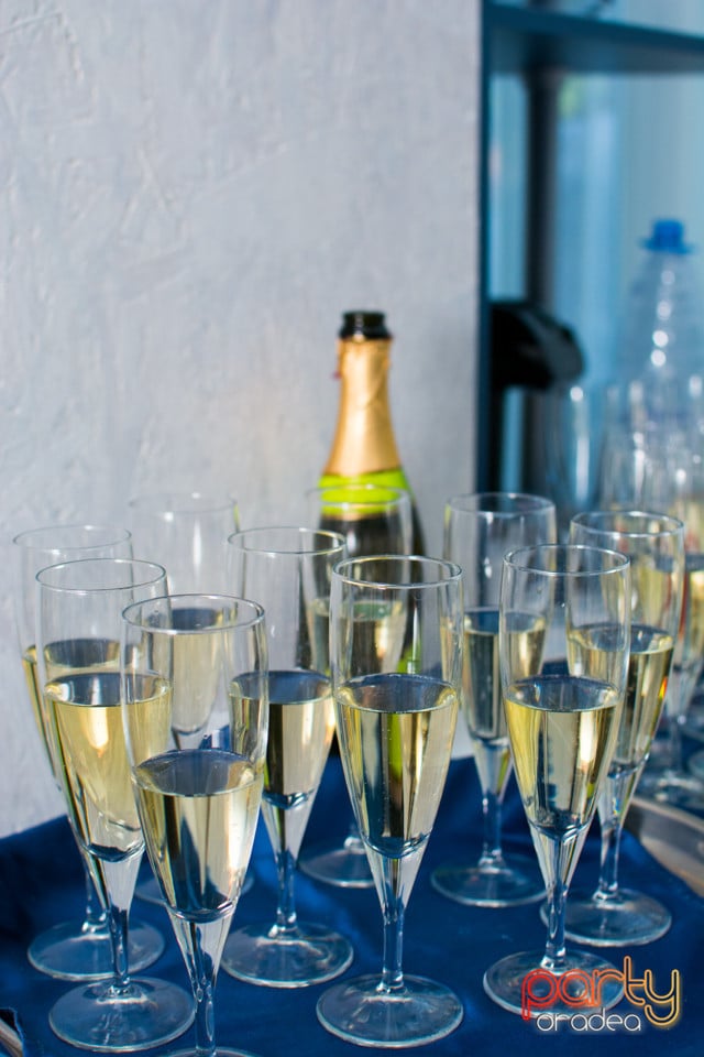Inaugurare Salon