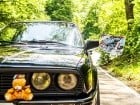 Întâlnire BMW