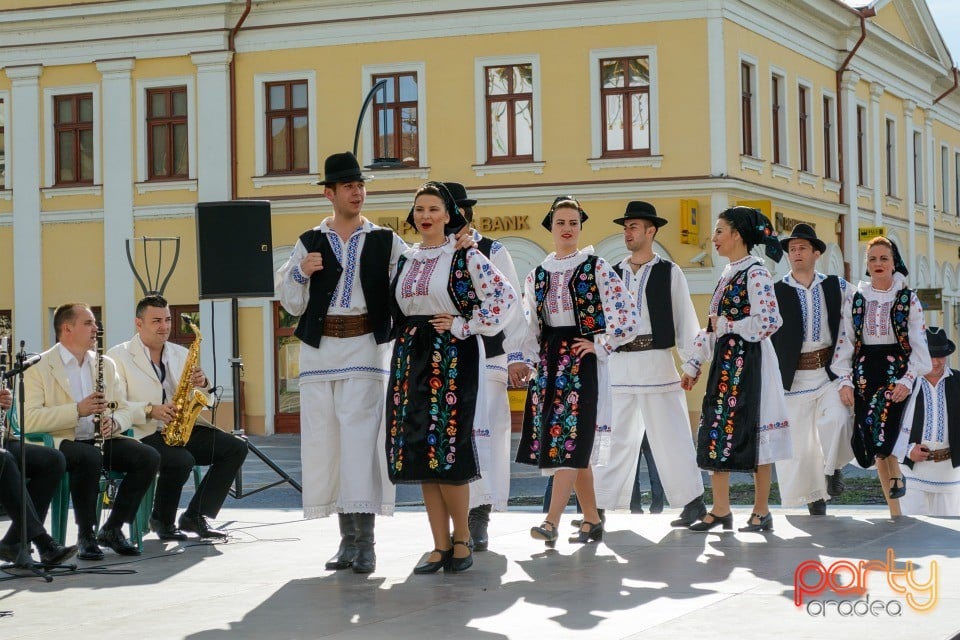 Joc şi cântec fără frontieră, Oradea