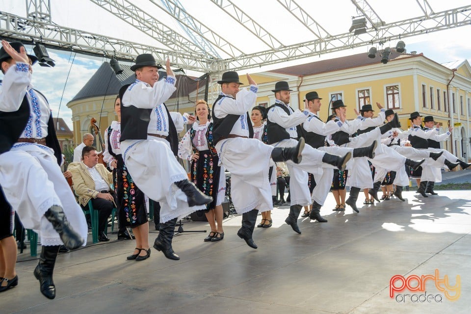 Joc şi cântec fără frontieră, Oradea