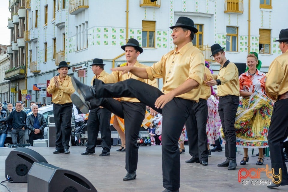 Joc şi cântec fără frontieră, Oradea