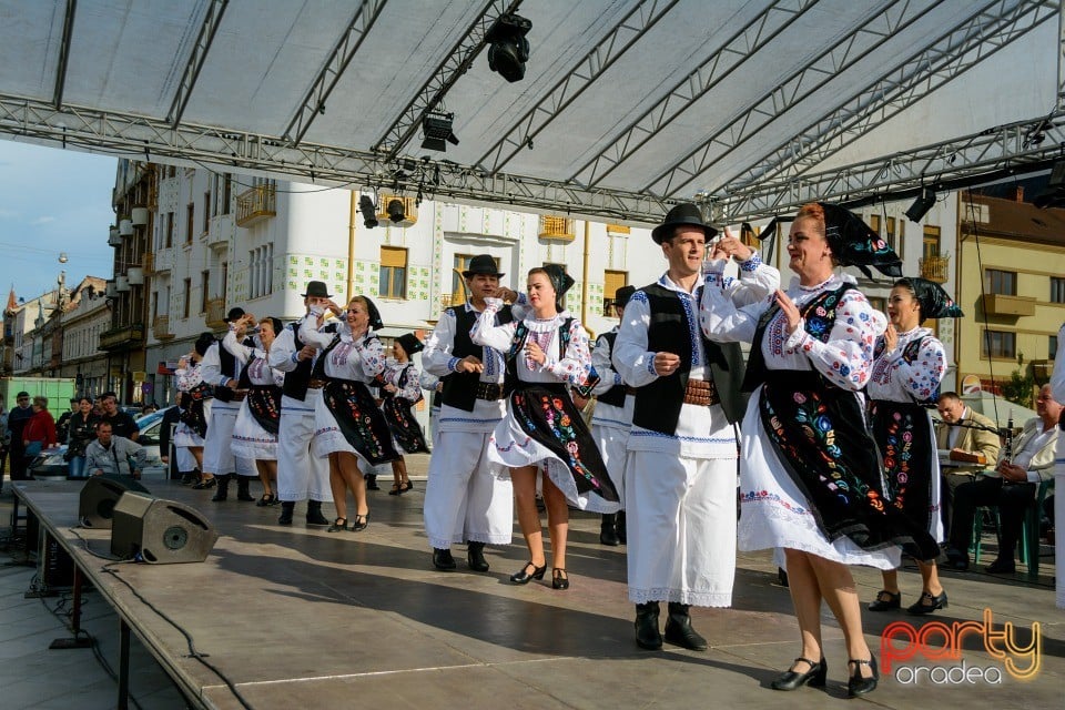 Joc şi cântec fără frontieră, Oradea