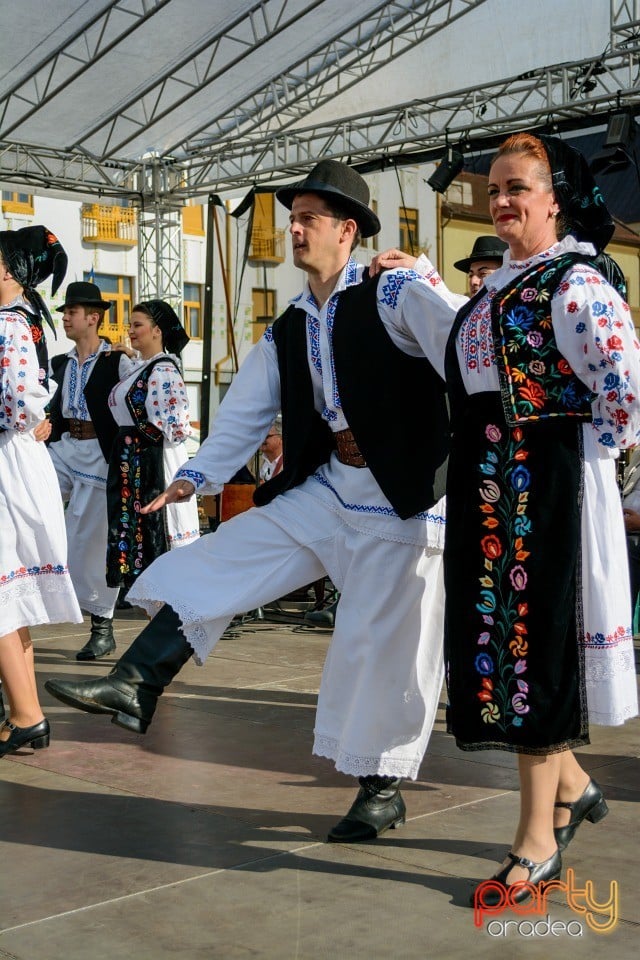 Joc şi cântec fără frontieră, Oradea