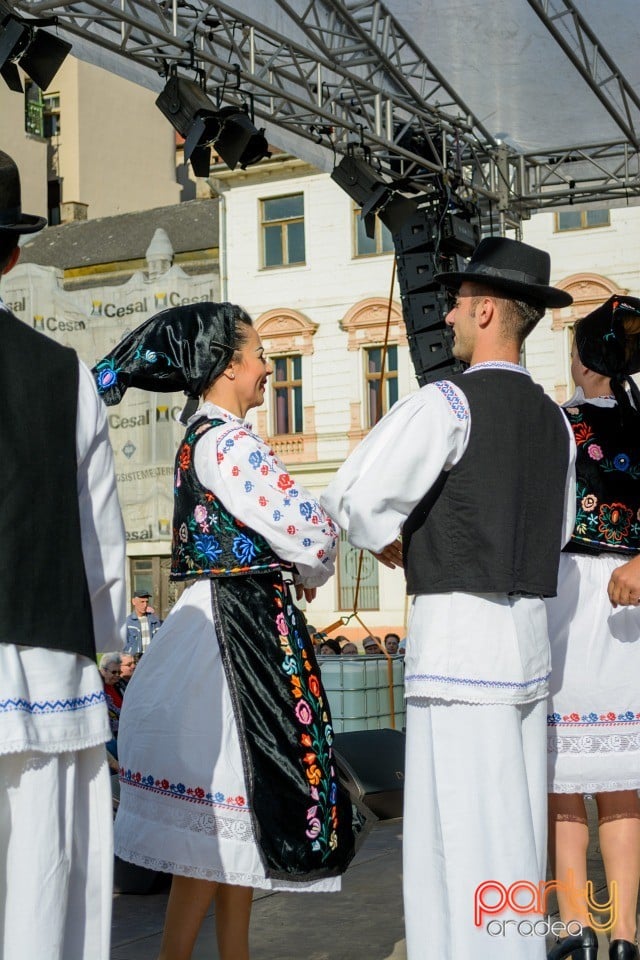 Joc şi cântec fără frontieră, Oradea