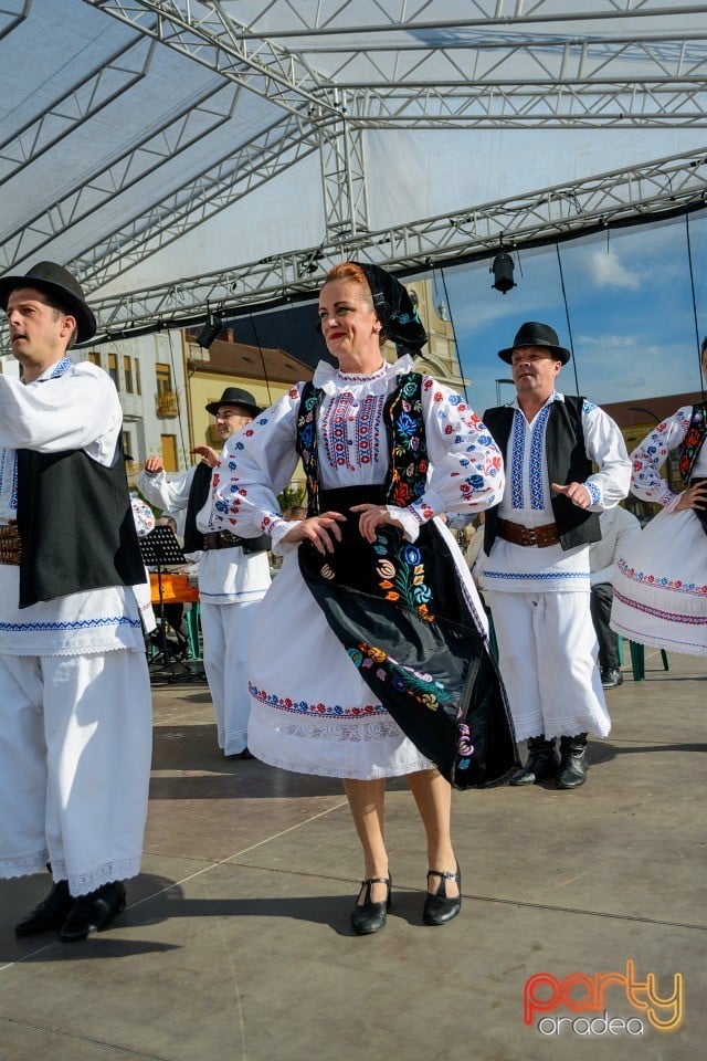 Joc şi cântec fără frontieră, Oradea