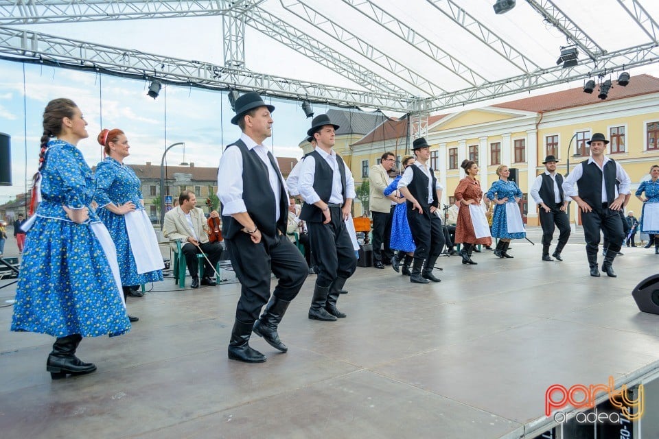 Joc şi cântec fără frontieră, Oradea