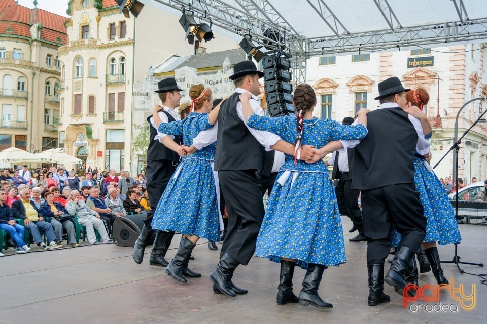 Joc şi cântec fără frontieră, Oradea