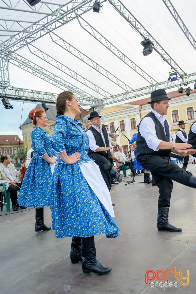 Joc şi cântec fără frontieră, Oradea