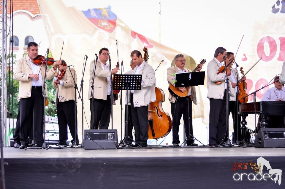 Joc si cantec fara frontiere, Oradea