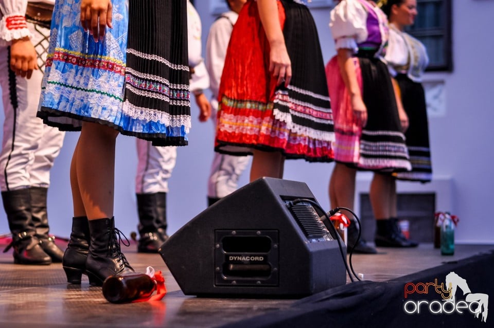 Joc si cantec fara frontiere, Oradea