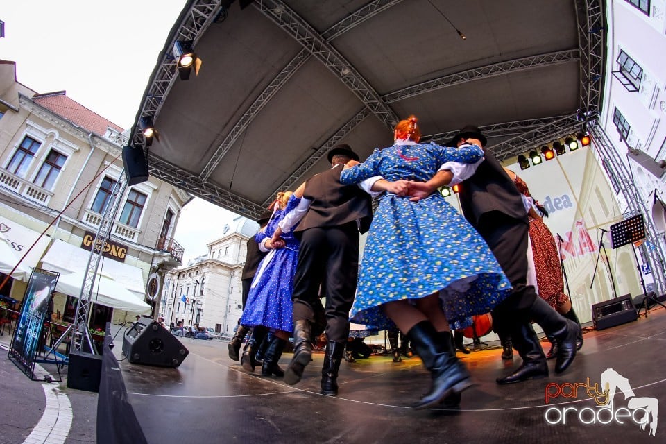 Joc si cantec fara frontiere, Oradea