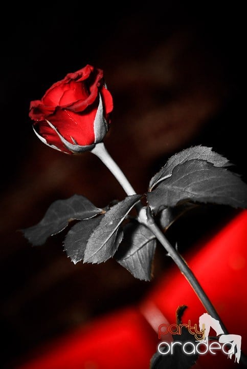 Joi seara petrecem în Club Escape!, 