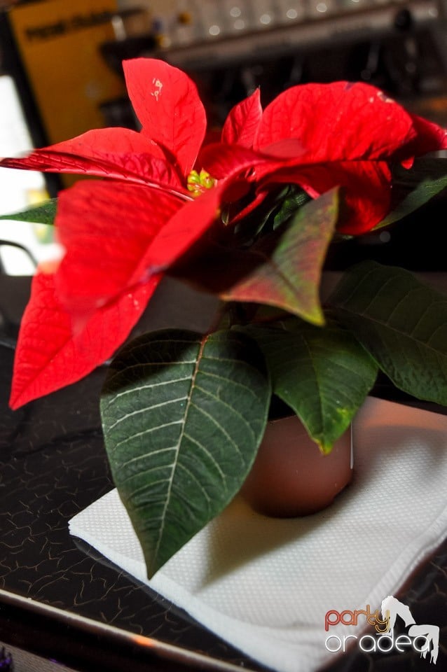 Karaoke în Blondy's Art Café, 