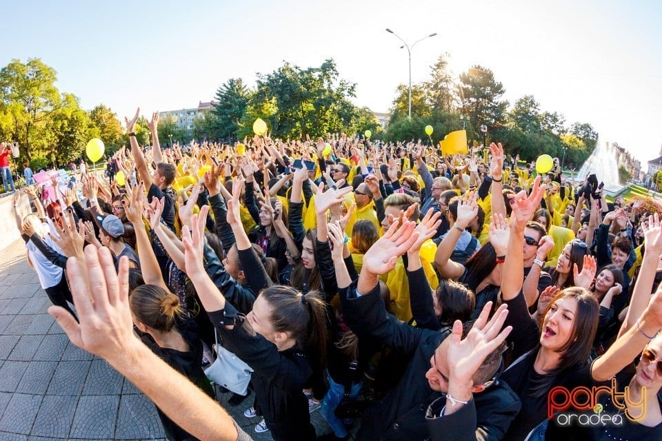 ‎Aleg să zâmbesc! - cel mai mare Smiley uman din România, Oradea