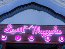 Lansarea produselor Raw Vegan marca Sweet Magnolia