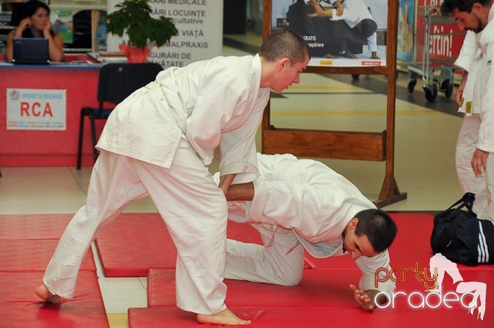 Lecţie de Aikido în Era Park, Era Shopping Park