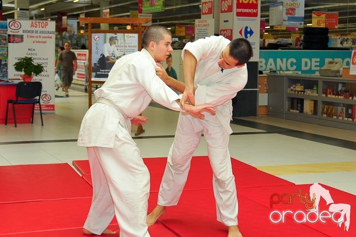 Lecţie de Aikido în Era Park, Era Shopping Park