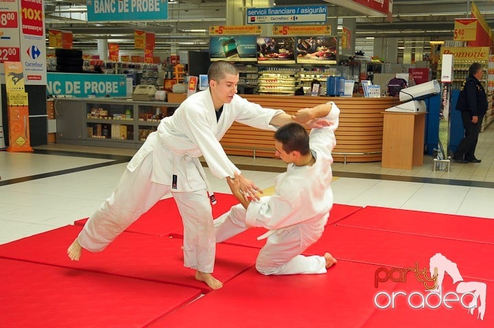 Lecţie de Aikido în Era Park, Era Shopping Park