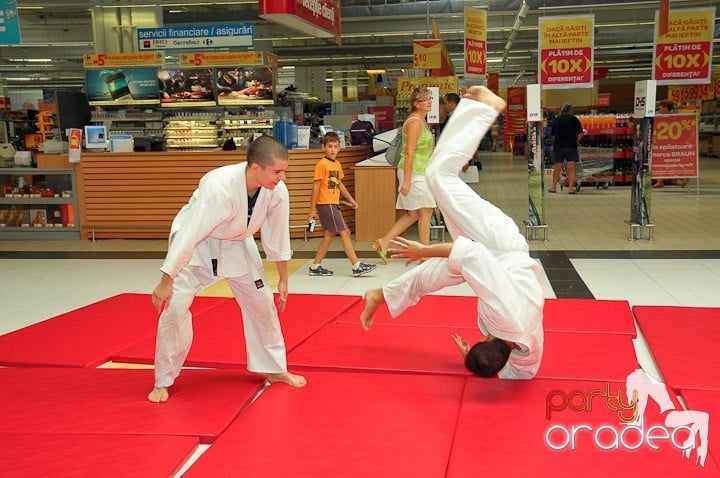 Lecţie de Aikido în Era Park, Era Shopping Park