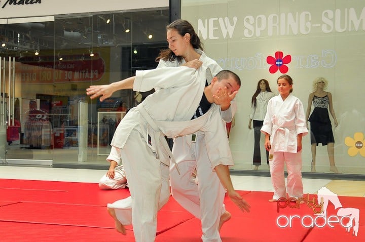 Lecţie de Aikido în Era Park, Era Shopping Park