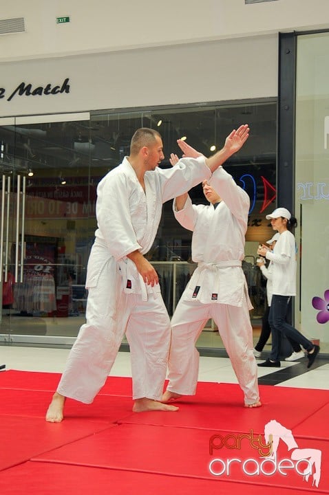 Lecţie de Aikido în Era Park, Era Shopping Park